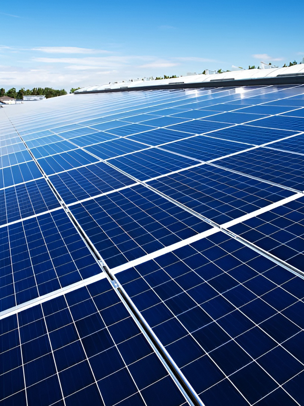 Solar Panel Cleaning