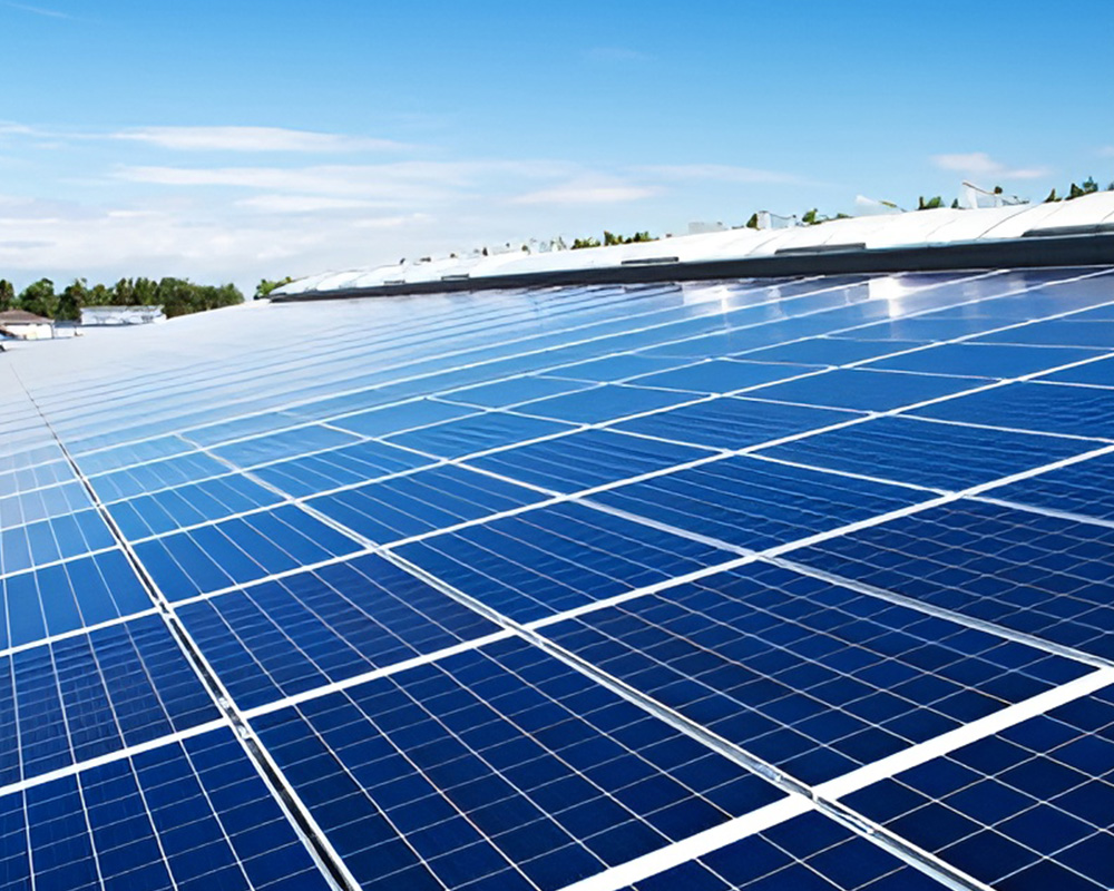 Solar Panel Cleaning